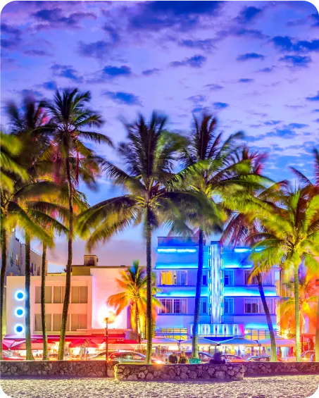 Explore Miami at night